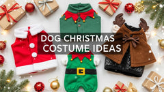Dog Christmas Costume Ideas That Are Cute, Comfortable & Festive