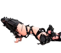 Extreme Strict Leather Pet Crawler Restraints