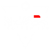logo of Rizwards Leather